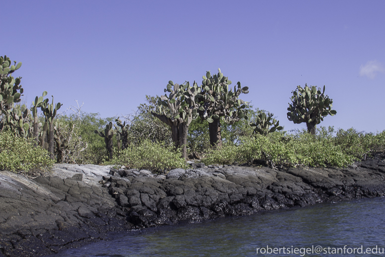 galapagos